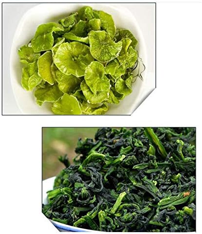 INTBUYING Commercial 5.5 Gallon Lettuce Salad Electric Spinner Dryer Washer Stainless Steel Vegetable Water Dehydrator Salad Dryer Vegetable Fruit Salad Spinner Dryer 220V