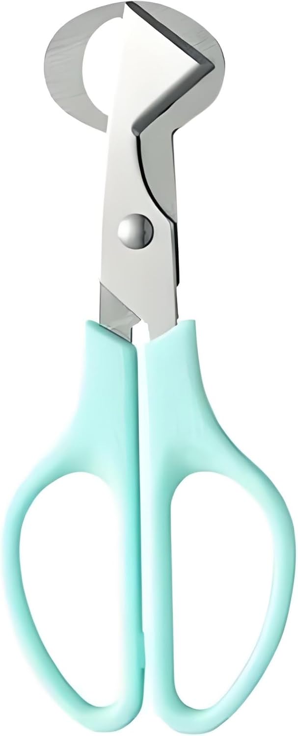 Stainless Steel Quail Egg Scissors,Egg Slicer Pigeon Clipper Shell Separato, Quail Egg Peeler Egg Cracker Pigeon Bird Quail,Quail Egg Scissors