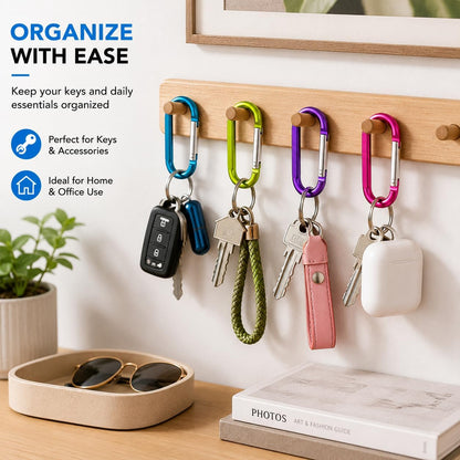 Carabiner Caribeaner Clip,3" Large Aluminum D Ring Shape Carabeaner with Keyring Keychain Hook