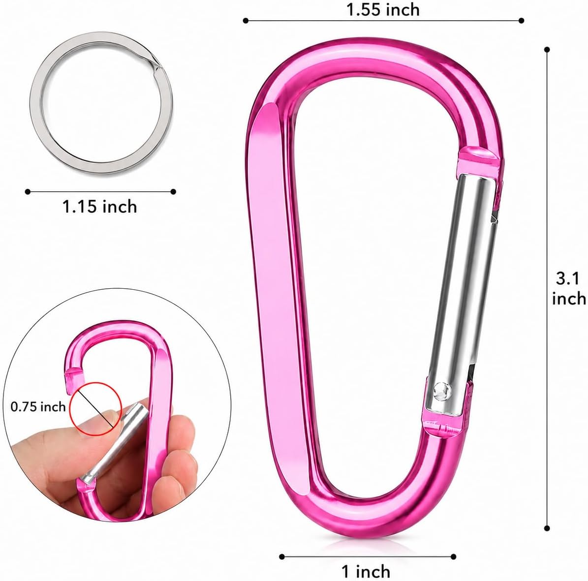 Carabiner Caribeaner Clip,3" Large Aluminum D Ring Shape Carabeaner with Keyring Keychain Hook