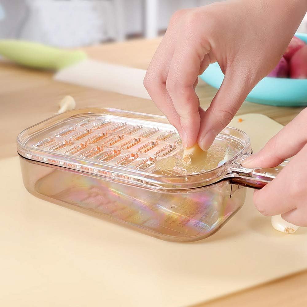 Japanese Plastic Zester Grater – Multi-Purpose Coarse/Fine Condiment Grater with Container for Ginger and Wasabi, Made in Japan