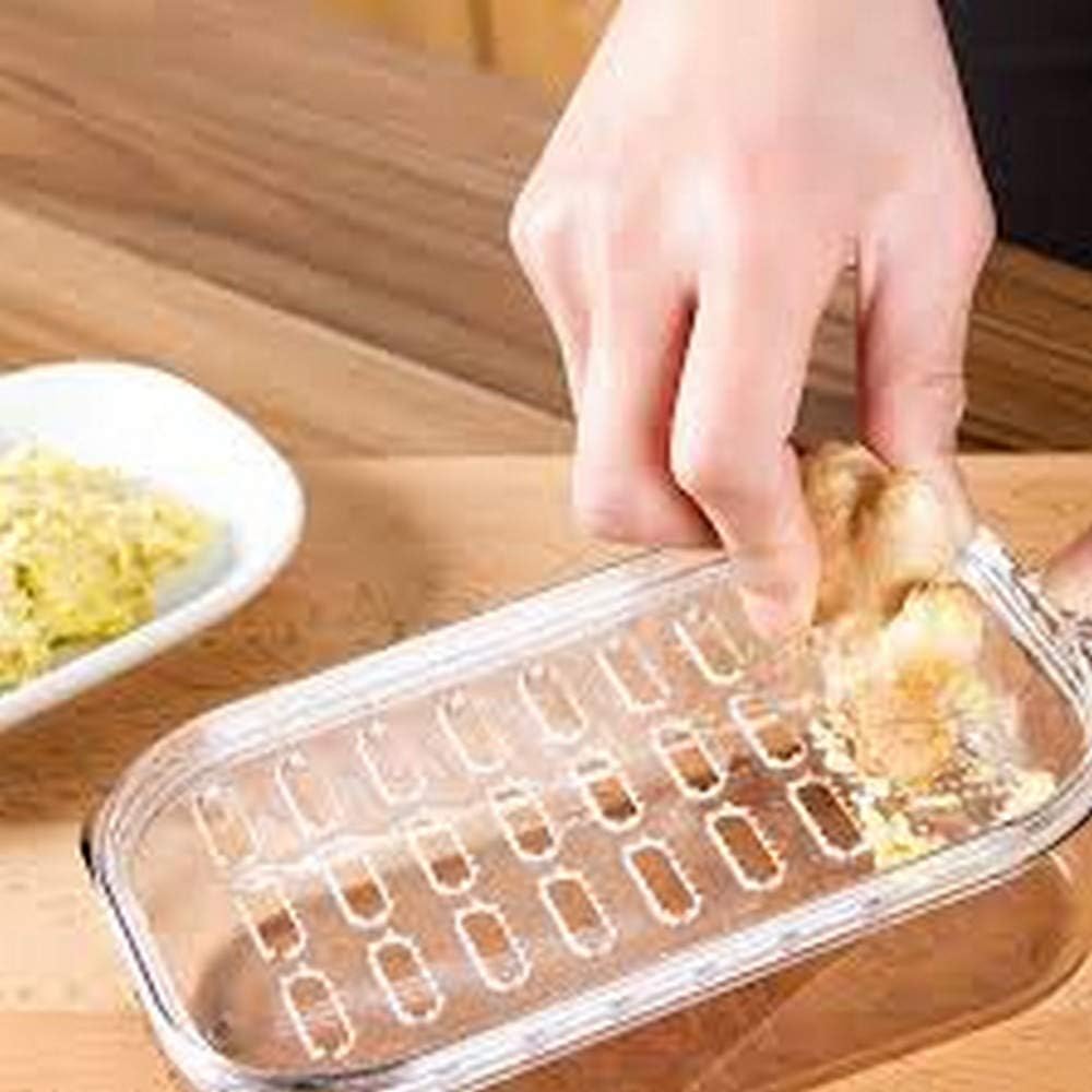 Japanese Plastic Zester Grater – Multi-Purpose Coarse/Fine Condiment Grater with Container for Ginger and Wasabi, Made in Japan
