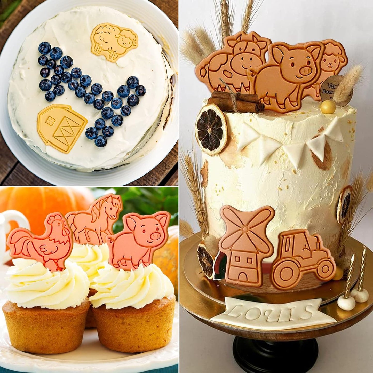 Animal Cookie Cutters With Plunger Stamps,8 Pcs 3D Animal Cookie Cutters | Animal Embossing Cutters for Biscuit Fondant Cheese Baking Molds