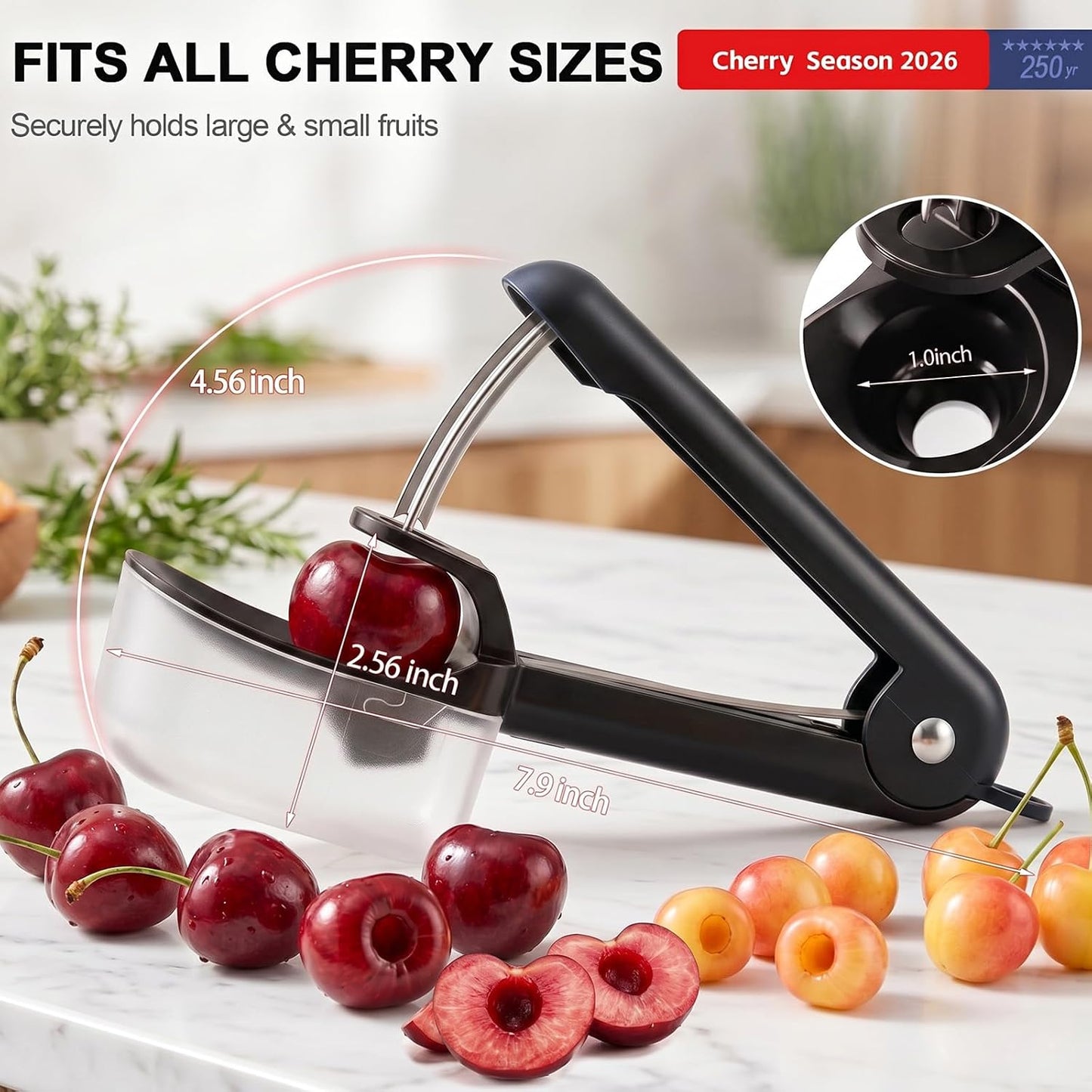 Cherry Pitter Multi 7-IN-1 Stainless Steel Cherry Pitter Tool Cherries Corer Making Cherry Jam (Red)