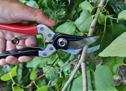 Kimura® 8" Pro Pruning Scissors, Premium Japanese SK5 Hi-Carbon Steel Blades, Non-Slip Vinyl Coated Handles, Lightweight & Ergonomic, Multi-Tasking Pruning Shears, Garden Snips, Precision Clippers