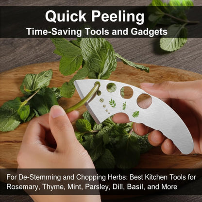 2 Pack Stainless Steel Herb Stripper, 9 Holes Kitchen Leaf Stripping Tool for Kale, Chard, Collard Greens, Thyme, Rosemary, Basil