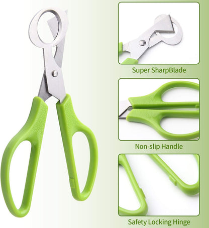 6Pcs Quail Egg Cutter Scissors Kitchen Egg Shears Tool (Green)