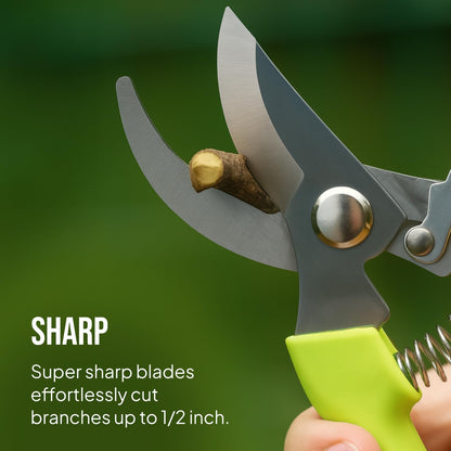 2-Pack Stainless Steel Gardening Scissors, Pruning Shears and Clippers for Gardening