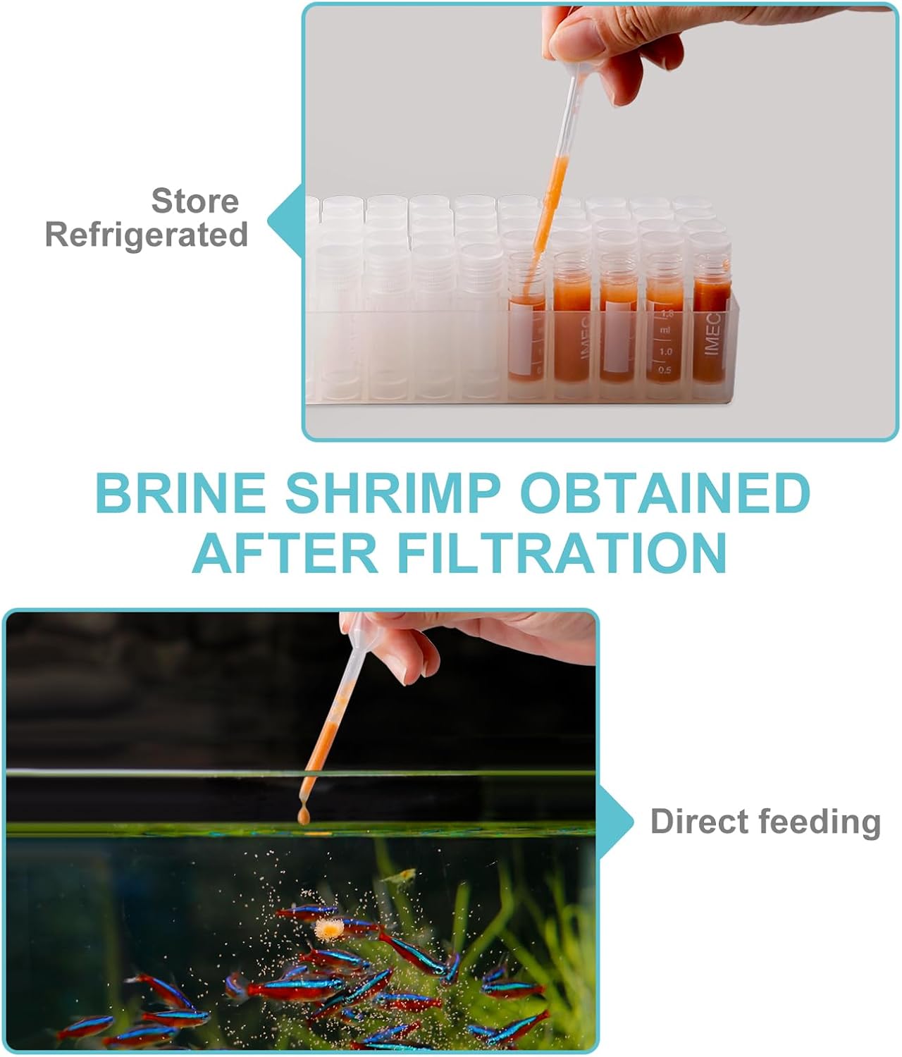 Baby Brine Shrimp Sieve 80 Mesh 200 Mesh kit for Brine Shrimp Hatchery