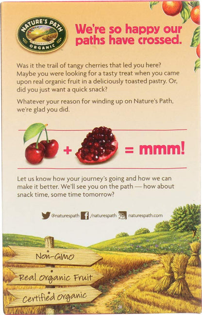 StarSun Depot (NOT A CASE) Organic Frosted Cherry Pomegranate Toaster Pastries