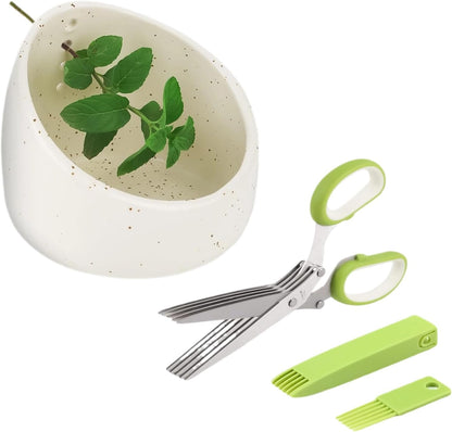 Pottery Herb Stripper Bowl Set – 2 Piece, Including 5-Blade Stainless Steel Herb Cutter Scissors, Herb Stripping Tool & Handmade Pottery Herb Stripper Bowl, For Stripping Leaves and Rhizomes (Green)