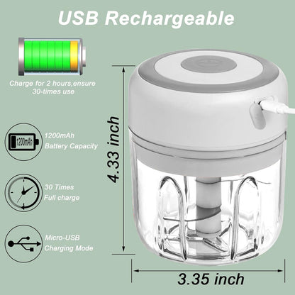 Electric Mini Garlic Chopper, 100ML Food Chopper Garlic Mincer USB, Portable Small Food Processor for Vegetables