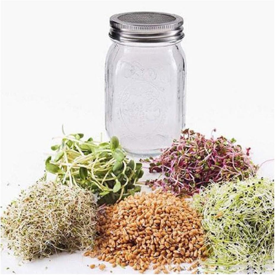 Mason Jar Liquor/Oil Pour Spout Dispenser, Sprouting Mason Jar Lid,Shaker Lid Shaker Dry Rub Lid - Cocktail, Mix Spices, Dredge Flour, Sugar Pack of 6