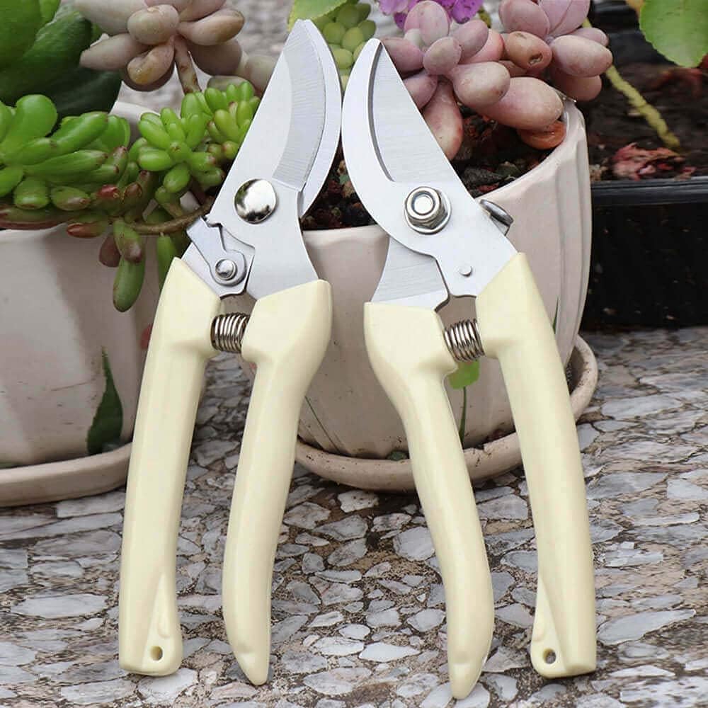 BUGUI Garden Shears Set of 2, Includes 1 Bypass Pruning Shears and 1 Straight Blade Garden Scissors, Sharp, Lightweight