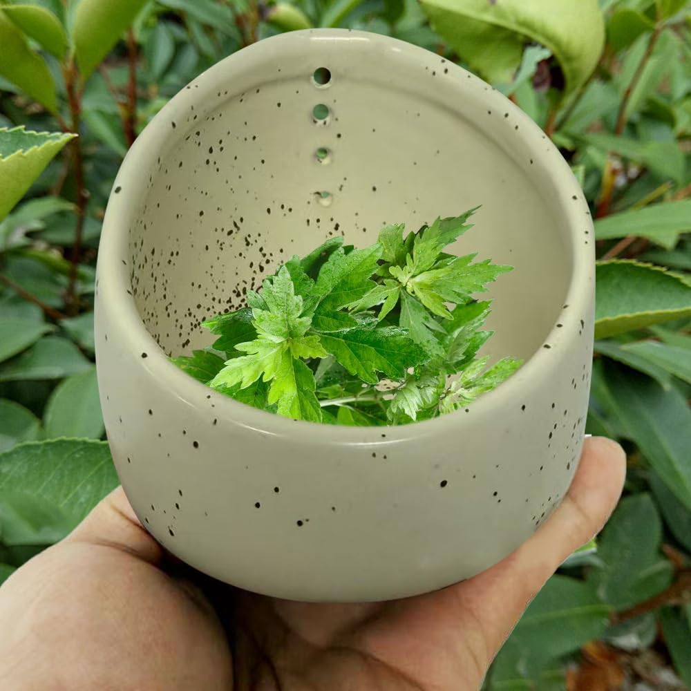 Pottery Herb Stripper Bowl, Upgrade Pottery Herb Stripper Cup Ceramic Herb Peeling Cup, Handmade Different Round Hole Sizes Suitable for Peeling Off The Leafy Assembly (A)
