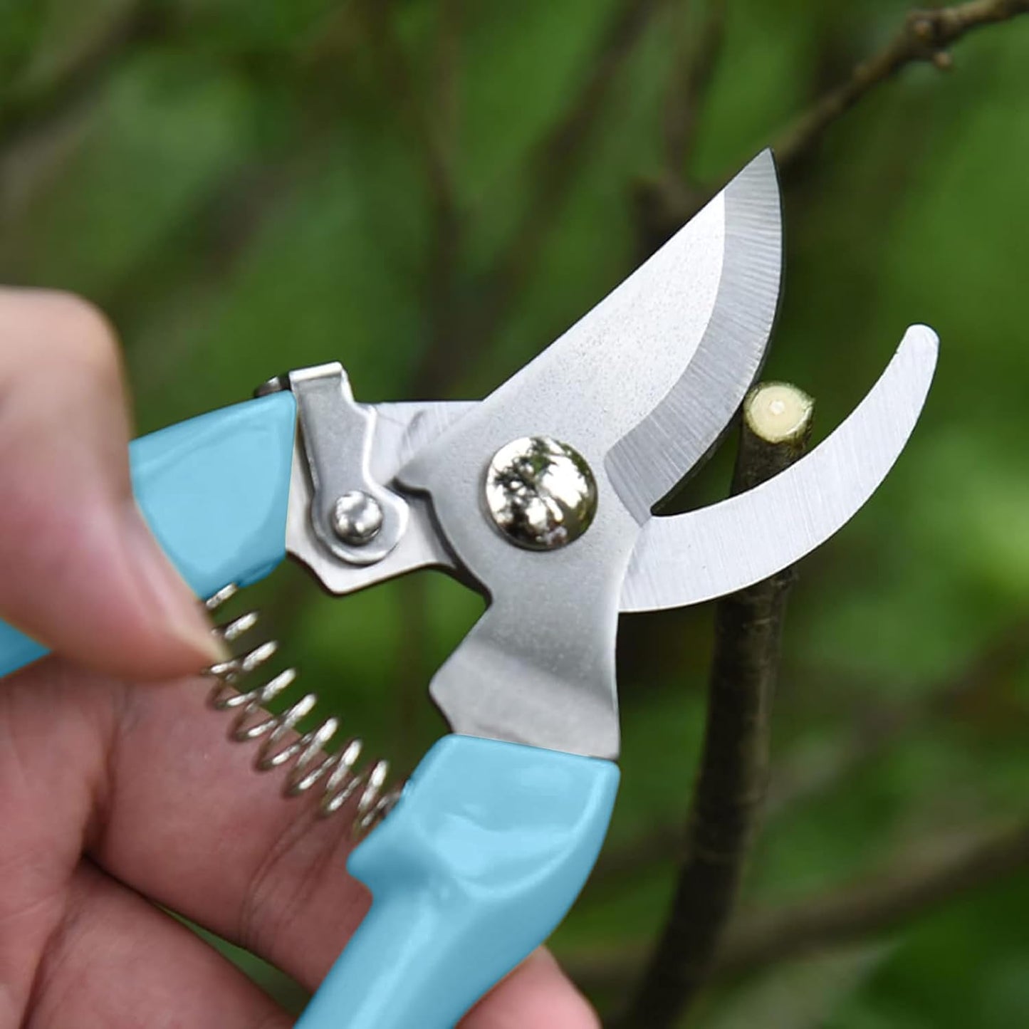 Garden Scissors for Plant, Tip Pruning Shears for Cutting Flowers, Trimming Plants, Bonsai and Fruits Picking (Bypass Blade Pruner)