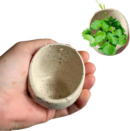 AGLOO Handmade Pottery Herb Stripper Bowl - Ceramic Herb Peeler & Stripper Tool for Kitchen, BBQ, and Picnics (white)