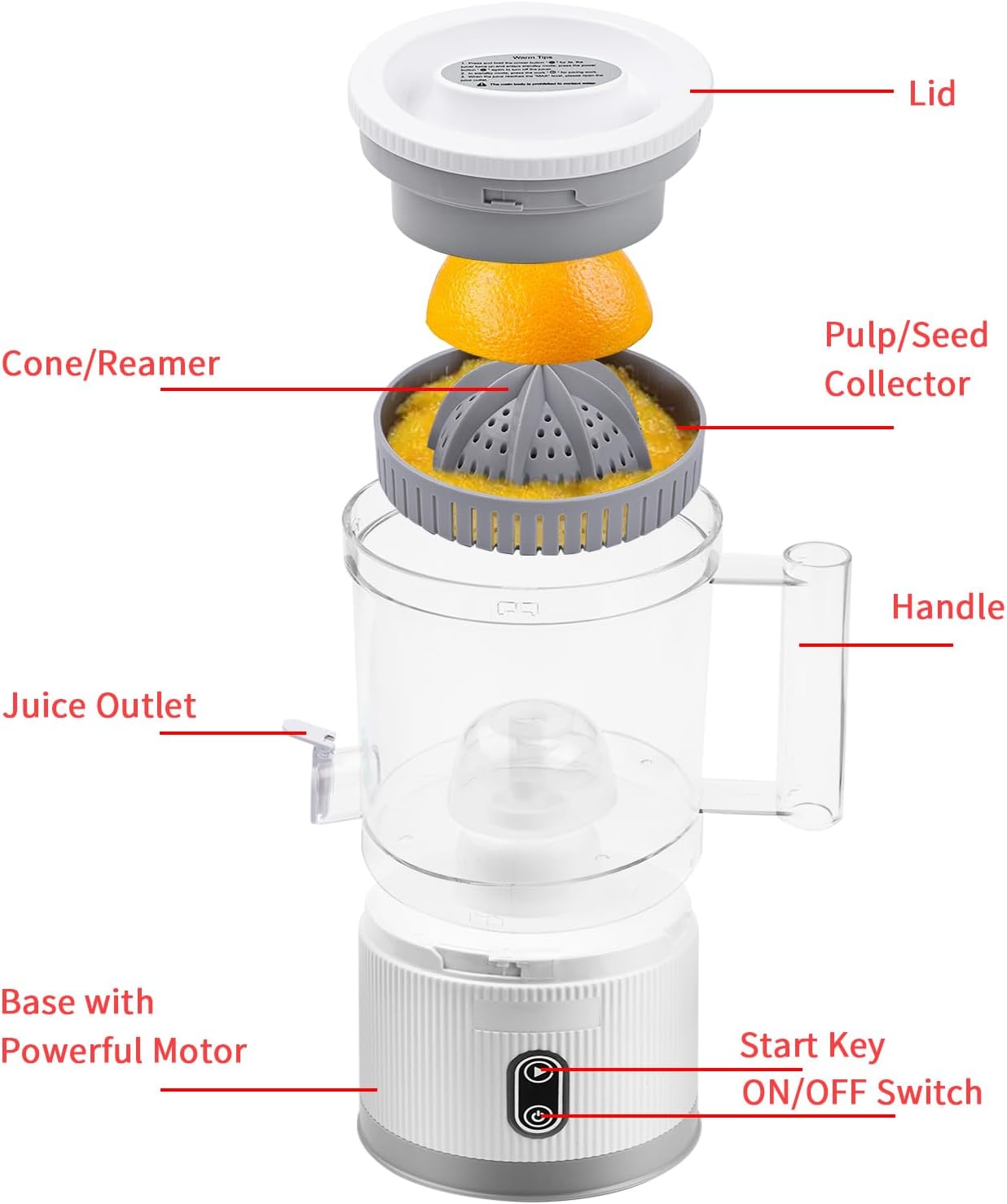Electric Citrus Juicer, Rechargeable Juicer Machine with USB Cable and Cleaning Brush, Touch Button, Automatic Orange Lime Lemon Grapefruit Squeezer, Easy to Clean Portable Juicer, White