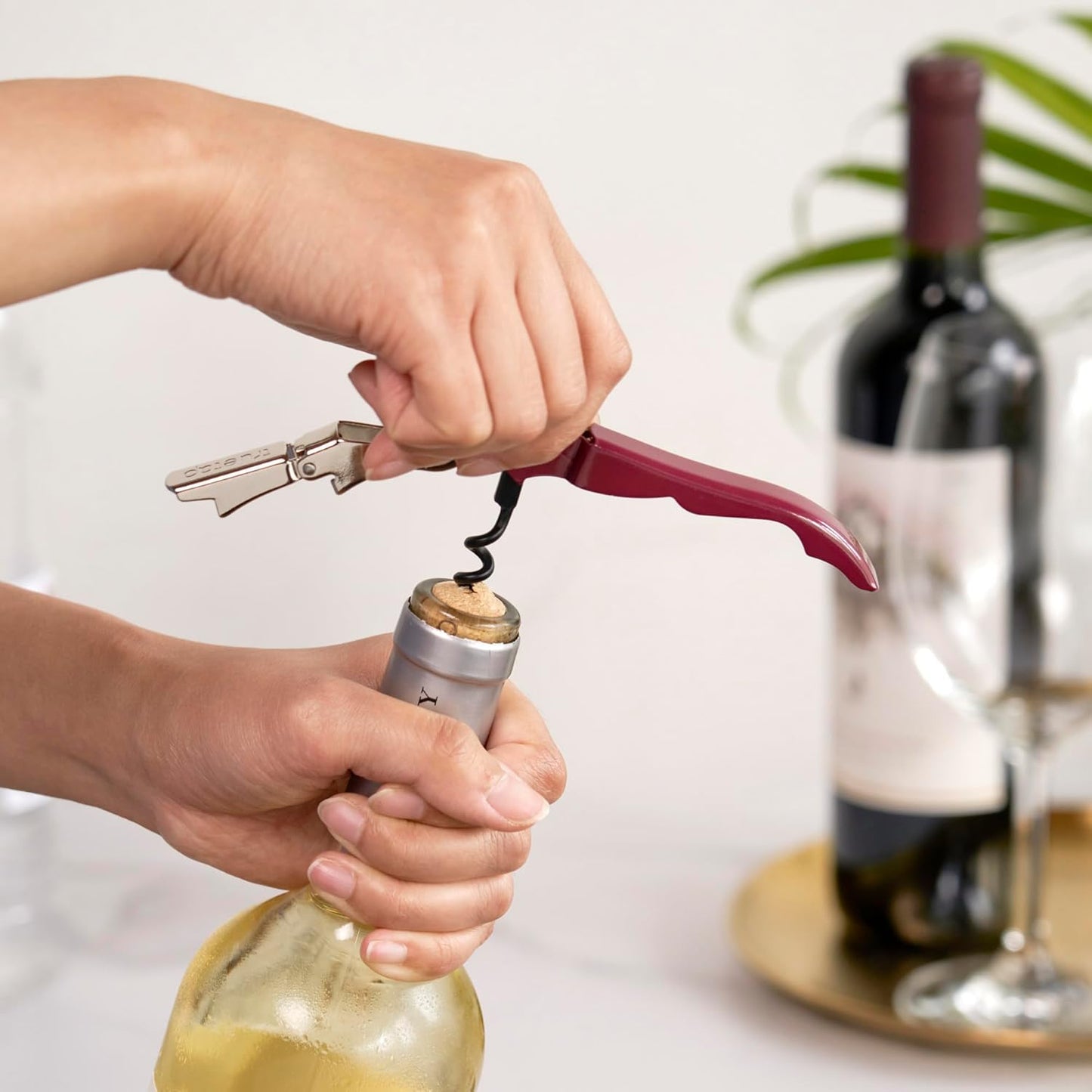 Truetap Double Hinged Waiter's Corkscrew Wine Opener, Stainless Steel Wine Bottle Opener with Built In Foil Cutter, Home Bar Tools, Bar Cart Accessories, Wedding Gifts, Set of 1, Black