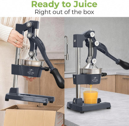Cast Iron Juicer - Heavy Duty Manual Juicer with Detachable Strainers for Easy Cleaning, Orange Juice Press for Citrus Fruits, Perfect for Bartenders, Juice Lovers & Health Enthusiasts - Colors A