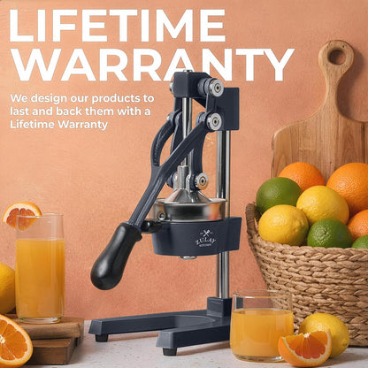 Cast Iron Juicer - Heavy Duty Manual Juicer with Detachable Strainers for Easy Cleaning, Orange Juice Press for Citrus Fruits, Perfect for Bartenders, Juice Lovers & Health Enthusiasts - Colors A