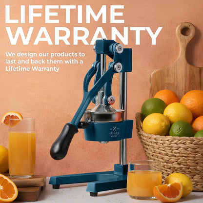 Cast Iron Juicer - Heavy Duty Manual Juicer with Detachable Strainers for Easy Cleaning, Orange Juice Press for Citrus Fruits, Perfect for Bartenders, Juice Lovers & Health Enthusiasts - Colors A
