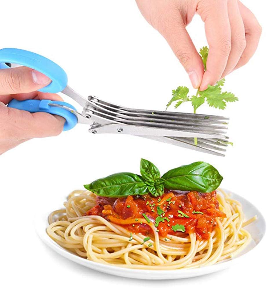 Herbal Scissors Stainless Steel 5 Blade Kitchen Scissors Mince Fresh Herbs & Leafy Greens Kitchen Gadgets Herb Cutter whit Cleaning Comb (Green)