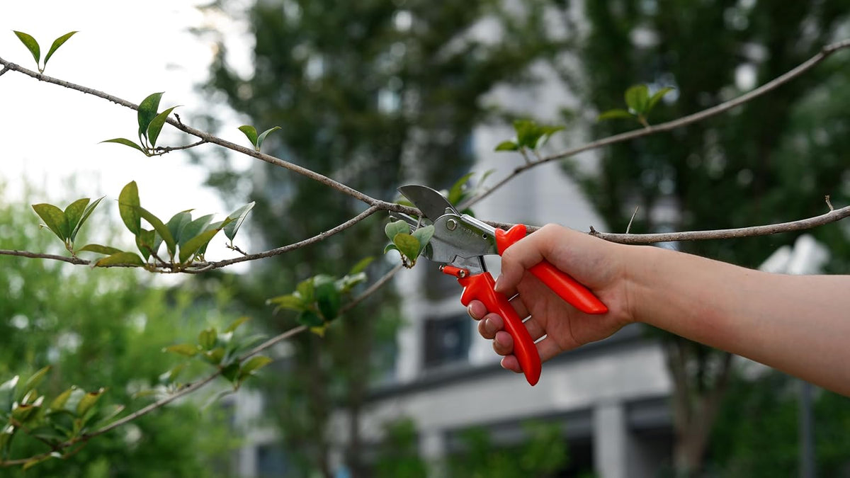 8" Professional Heavy Duty Anvil Pruning Shears with Anti-Rust SK-5 Blades, Garden Shears for Dry Stems and Small Branches, Gardening Scissors, Clippers for Wood, Non-Slip Handle. | LFXP1108S
