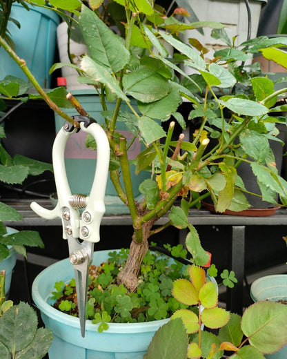Fondwell 6.5" Pruning Shears Trimming Scissors: 2 Pack of Small Garden Snips with Micro Tip - Plant Clippers of High Cutting Efficiency