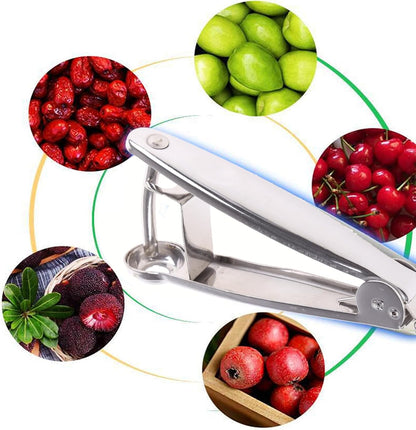 Pitter Tool 304 Stainless Steel Core Remover for Plums, Cherries, Chinese Dates, Grapes