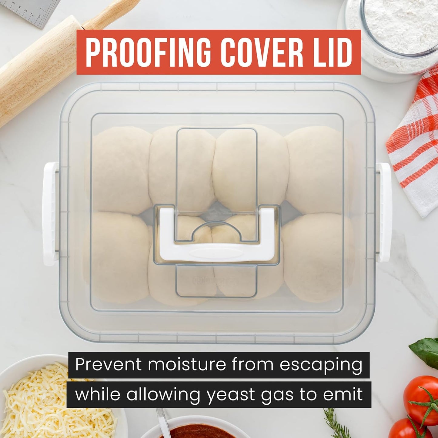 Chef Pomodoro Pizza Dough Proofing Box, 14 x 11-Inch, Preparation Container with Lid, Fits 4-6 Proofing Balls, Household Pizza and Bread Dough Tray With Convenient Carry Handle (Blue)
