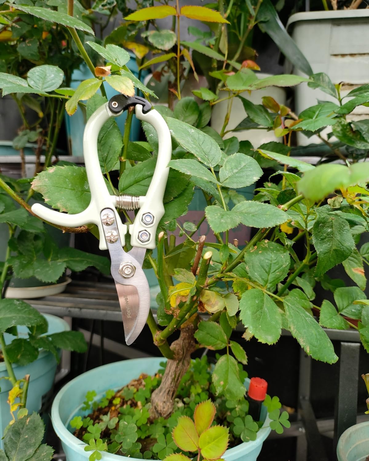 Fondwell 6.5" Pruning Shears Trimming Scissors: 2 Pack of Small Garden Snips with Micro Tip - Plant Clippers of High Cutting Efficiency