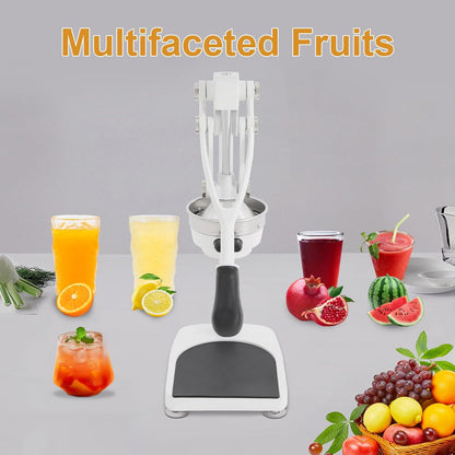 Cast Iron Juicer, Manual Juicer Hand Press Heavy Duty with Stable Base, Commercial Citrus Press for Orange Lemon Lime Grapefruit Pomegranate, Easy to Clean(Filter Bags & Cup)