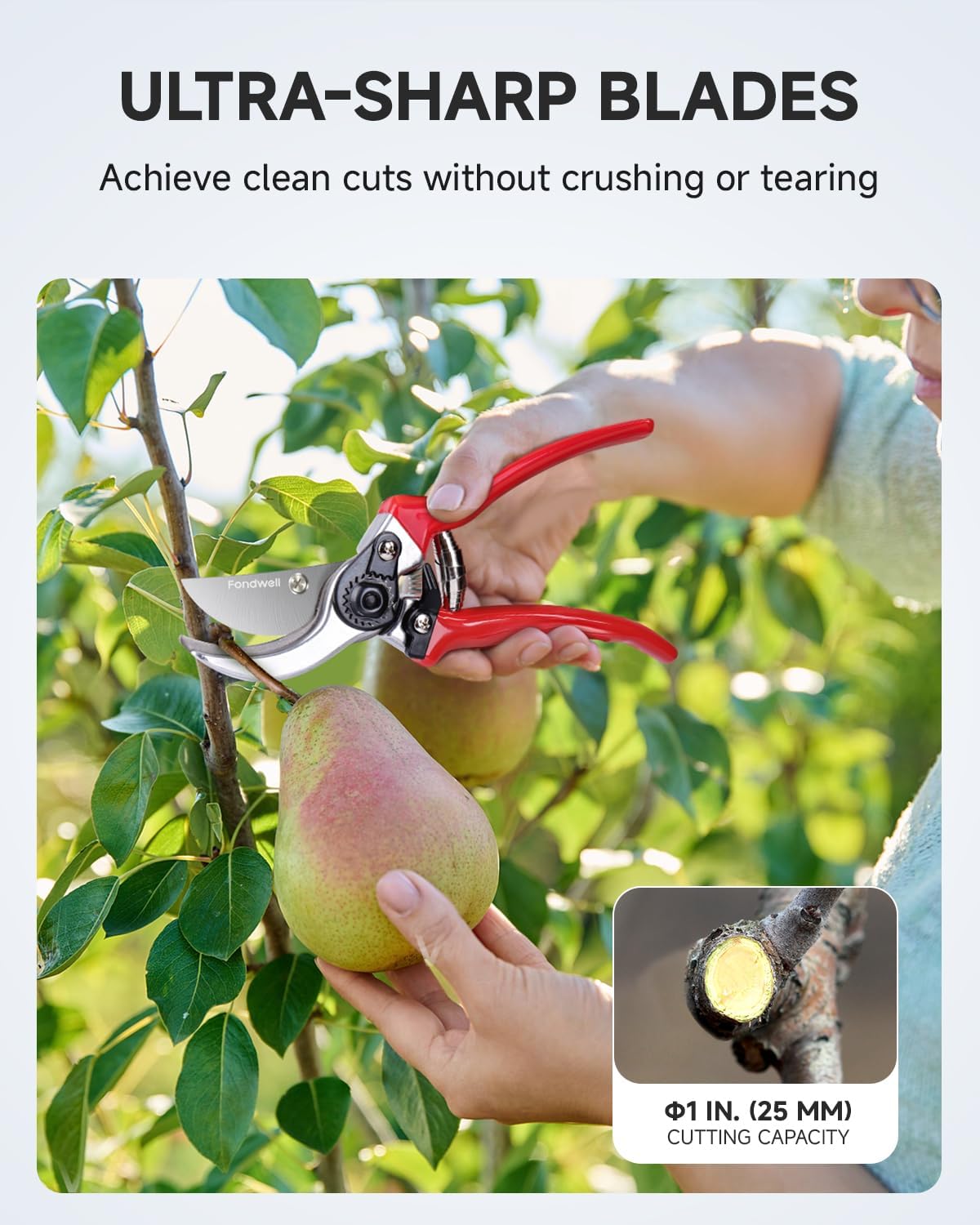 Fondwell 6.5" Pruning Shears Trimming Scissors: 2 Pack of Small Garden Snips with Micro Tip - Plant Clippers of High Cutting Efficiency