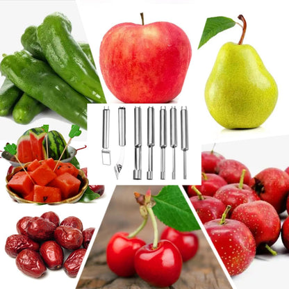 Fruit and Vegetable Corer Tool, Multi-Function Stainless Corer and Pitter Remover Set for Apple, Chili Kernel Remover Fruit Slicer for Kitchen