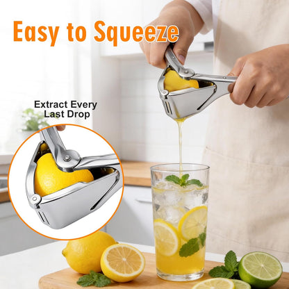Lemon Squeezer, Stainless Steel Lemon Juicer, Manual Juicer for Lemon Citrus Lime, Foldable Handheld Citrus Squeezer with Seed-Strainer (Silver)