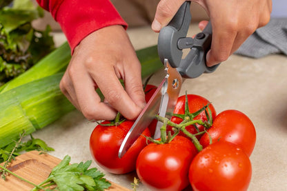 Kuhn Rikon Pro Kitchen Shears