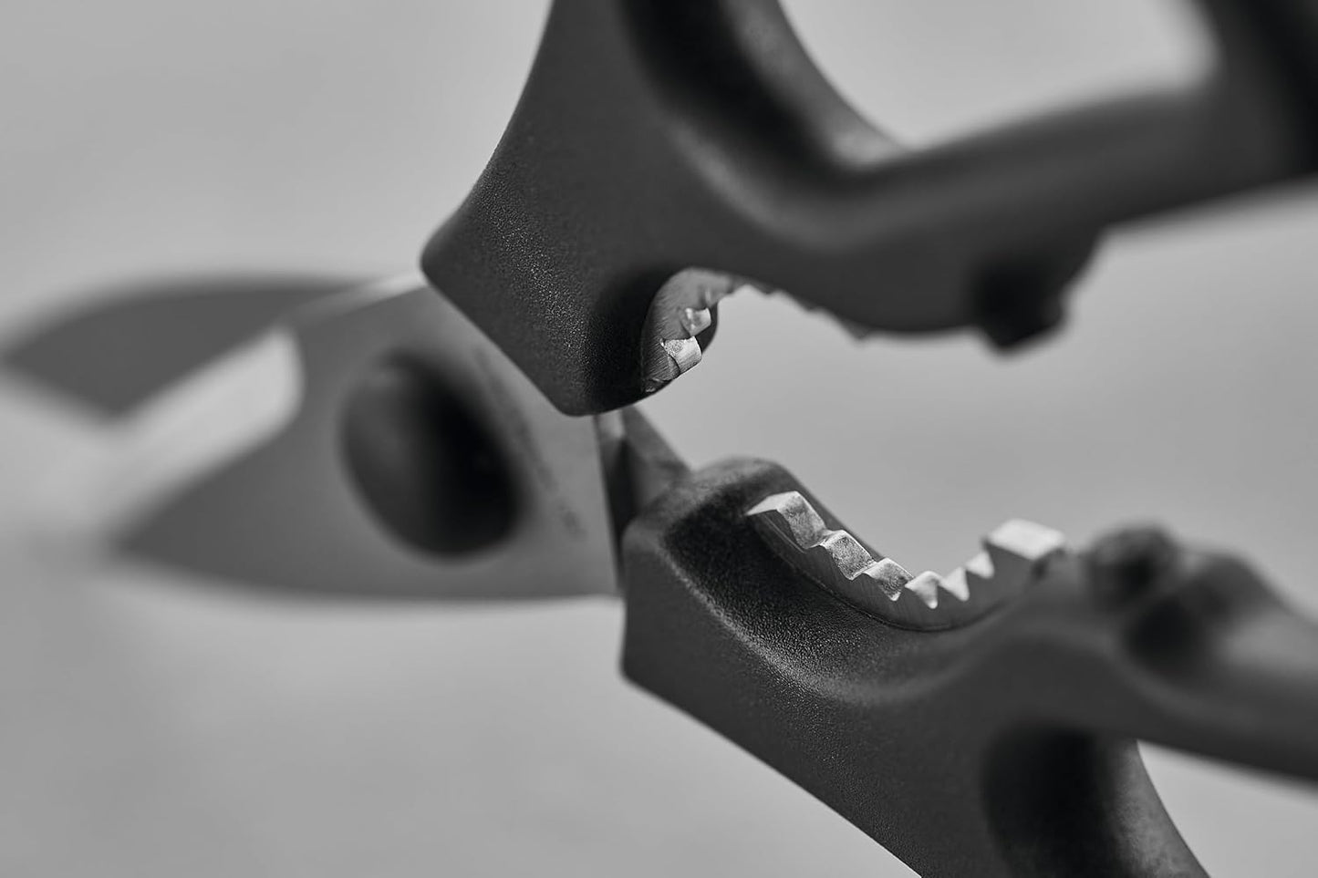 WÜSTHOF Come Apart Kitchen Shears