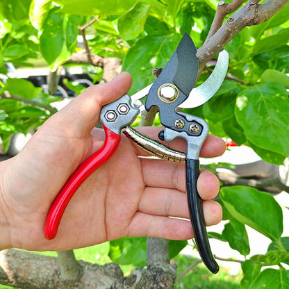 Premium Germany Pruning Shears, Work 3 Times Easier, Pruners Heady Duty, Sharp Garden Clippers Cut Fresh Flower, Hedge, Herb, Indoor Plants, Gardening Tools Scissors, Arthritis Weak Hand Snips