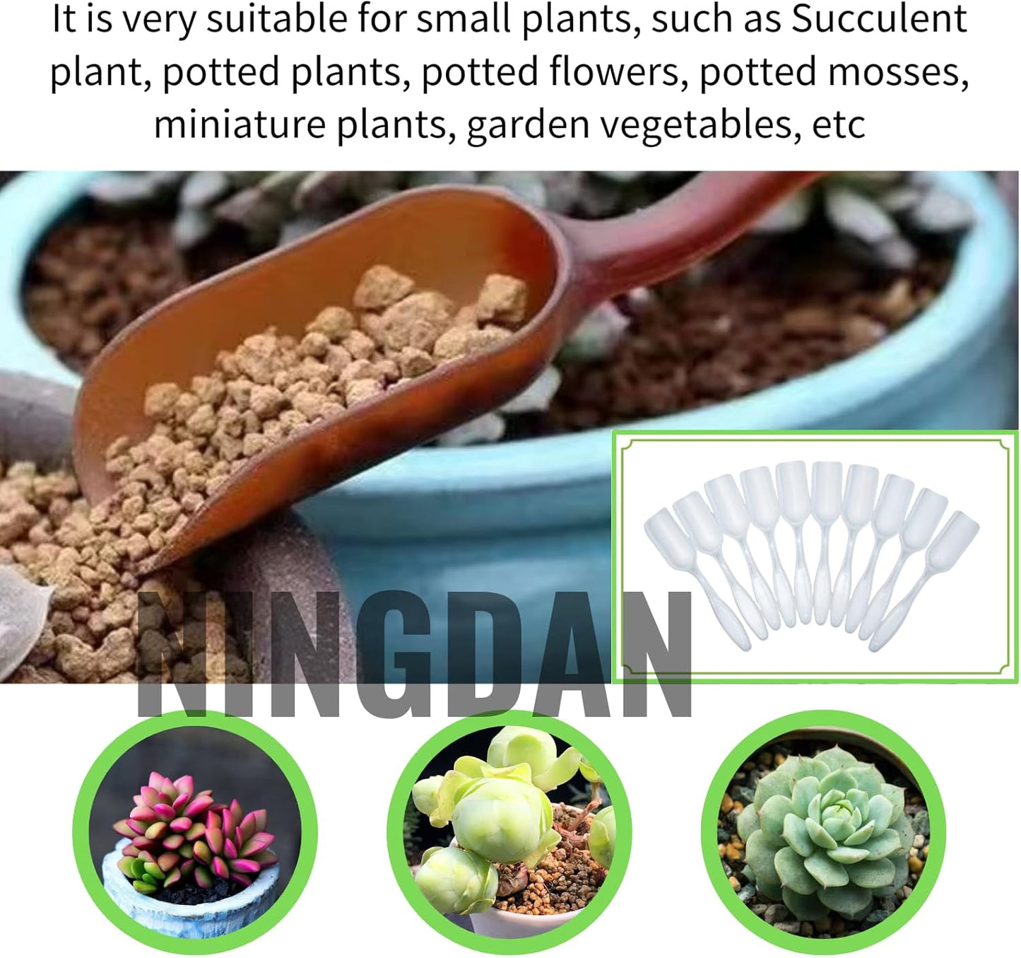 10Pcs NINGDAN Mini Shovel,Plastic Mini Gardening Shovel Spoons Soil Scoops,Cultivation Digging Transplanting Tools for Succulents Potted Flowers,Milk Powder/Coffee Beans Scoops (5 Colors)