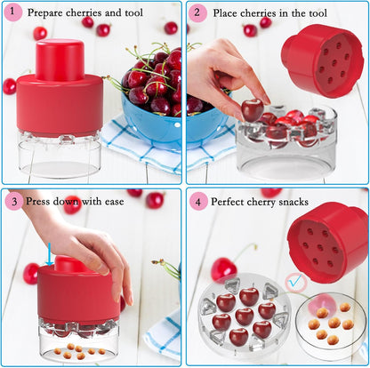 Cherry Pitter Tool, Heavy-Duty Stainless Steel Pitting Tool, Portable Cherries Corer Stoner Seed Tool with Lock Design, Fruit Pit Remover for Cherry Jam(Black)
