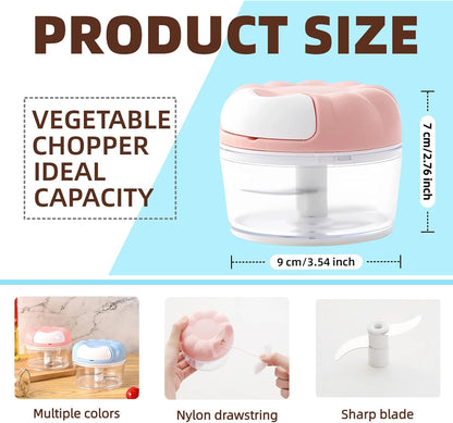 Mini Manual Food Processor Vegetable Chopper,Portable Hand Pull String Onion Chopper for Veggies, Fruits, Garlic, Nuts, Herbs, Ice cube,Cooking Gadgets & Kitchen Essentials,160ml (Blue)