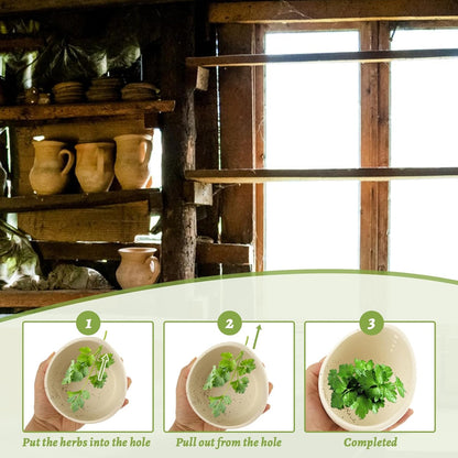 3Pcs Pottery Herb Stripper Bowl with Different Hole Sizes, Herb Stripper Tool for Removing Stems and Leaves