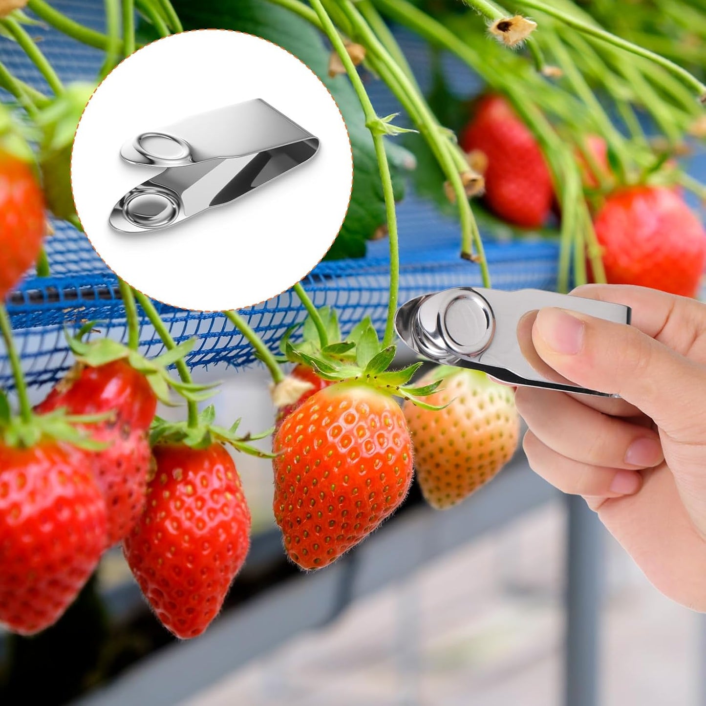 5Pcs Stainless Steel Strawberry Huller Silver Fruit Stem Remover Picker Strawberry Cherry Tomato Fruit Tools Strawberrys Kitchen Accessories Pineapple Tool