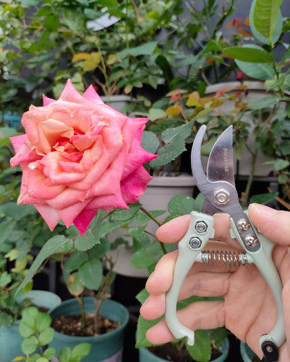 Fondwell 6.5" Pruning Shears Trimming Scissors: 2 Pack of Small Garden Snips with Micro Tip - Plant Clippers of High Cutting Efficiency