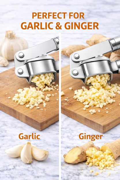 Stainless Steel Garlic Press, Heavy Duty Garlic Crusher Mincer, Easy Squeeze Ergonomic Handle, Kitchen Tool for Garlic Ginger