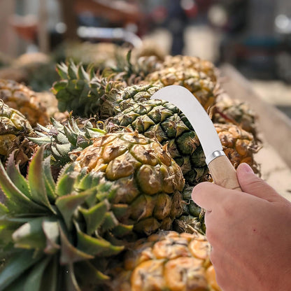 Abaodam 7Inch Stainless Steel Curved Fruit Knife, with Wooden Handle for Peeling and Cutting Pineapple Banana and Tropical Fruits Kitchen Tool