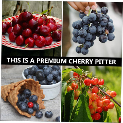 DOITOOL Cherry Pitter Cherry with Pit Catcher Container, Professional Remover Plastic Grapes Removing Tool Fruit Pit Core Remover