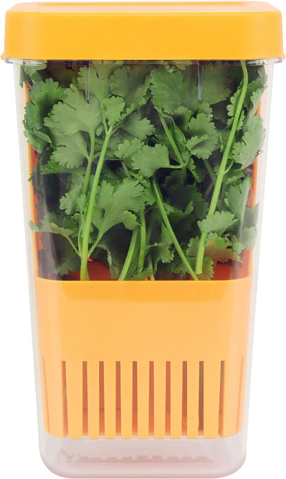 LUVCOSY Herb Keeper Set: 3 Pack Herb Saver+1 Pack Herb Scissors+2 Pack Herb Stripper, BPA-Free Plastic Herb Container for Cilantro, Mint & Asparagus, Keeps Fresh Herbs for 3 Times Longer