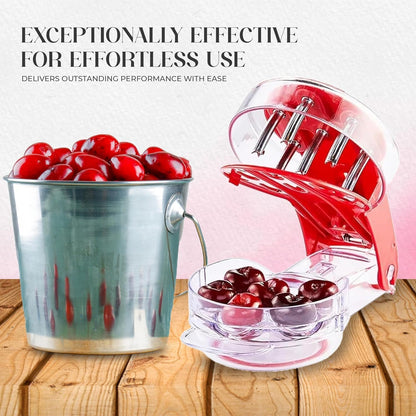 Cherry Pitter Tool - 6 Cherry Multi Pitter, Cherry Seed Remover & Cherry Pit Remover Tool, Stainless Steel Cherry Corer for Large Batch Prep, Baking, Canning & Olives